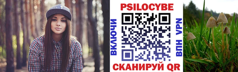 Псилоцибиновые грибы Magic Shrooms  Назрань 